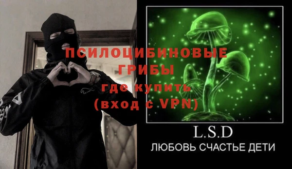 ECSTASY Богородск