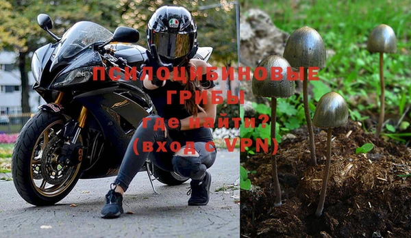 ECSTASY Богородск