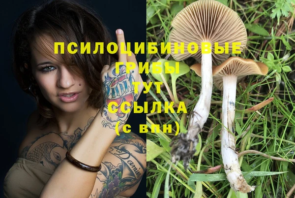 мефедрон Богданович