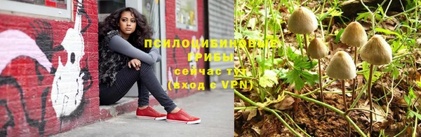 ECSTASY Богородск