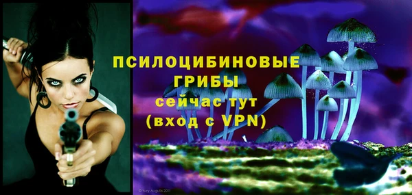 скорость Богородицк