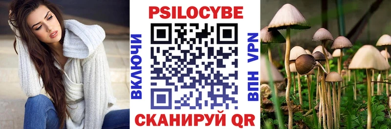 наркотики  Козловка  Псилоцибиновые грибы Psilocybine cubensis 