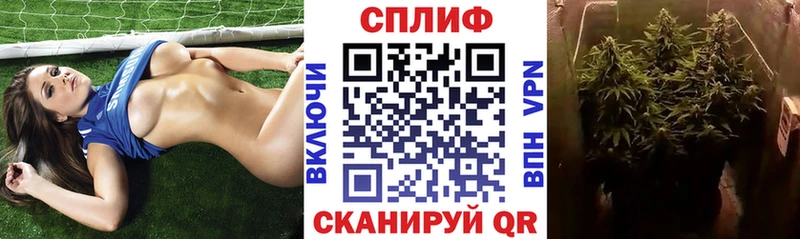 Конопля сатива Козловка